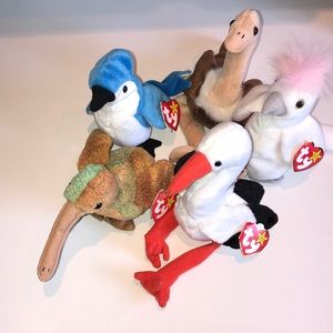 Set of 5 Ty Beanie Baby birds